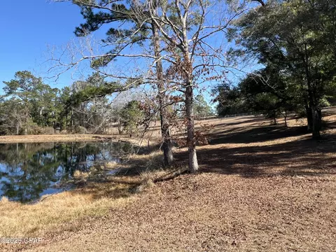 3258 Spring Lake Dr, Chipley, FL 32428 photo 4