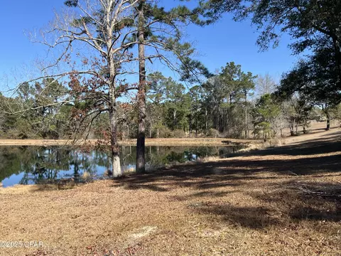 3258 Spring Lake Dr, Chipley, FL 32428 photo 3