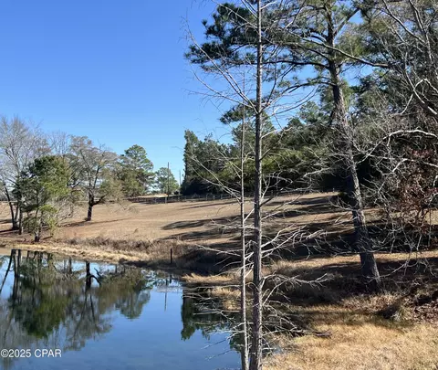 3258 Spring Lake Dr, Chipley, FL 32428 photo 7