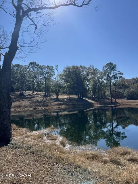 3258 Spring Lake Dr, Chipley, FL 32428 photo 6
