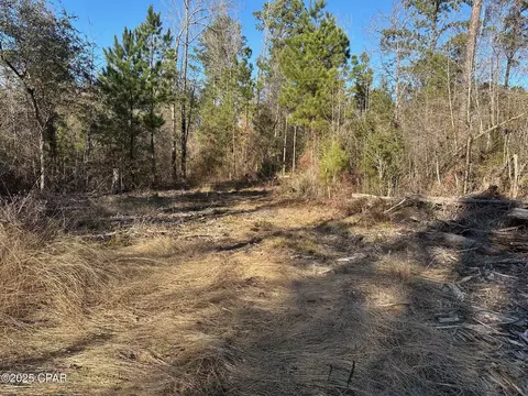 3241 Highway 90, Marianna, FL 32446