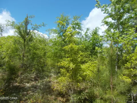 lot7 Alhambra Dr, Chipley, FL 32428