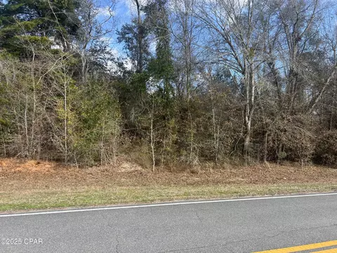 0000 Salem Church Rd, Sneads, FL 32460
