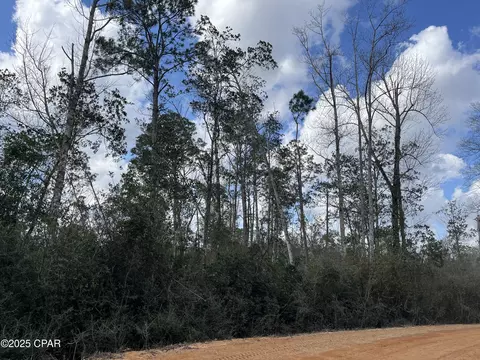 lot27 Southern Blvd, Alford, FL 32420