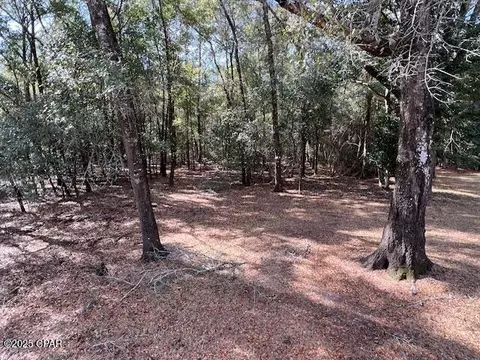 3962 A Moss Hill Rd, Chipley, FL 32428 photo 34