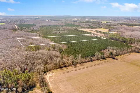 lot2 New Prospect Rd, Chipley, FL 32428 photo 3