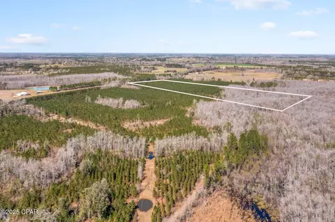 lot2 New Prospect Rd, Chipley, FL 32428 photo 6