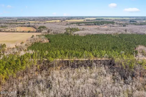 lot2 New Prospect Rd, Chipley, FL 32428 photo 22
