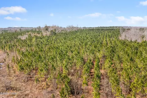 lot2 New Prospect Rd, Chipley, FL 32428 photo 9