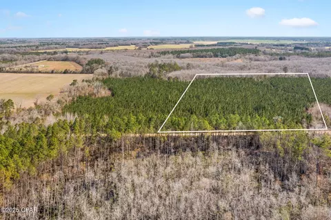 lot2 New Prospect Rd, Chipley, FL 32428 photo 8