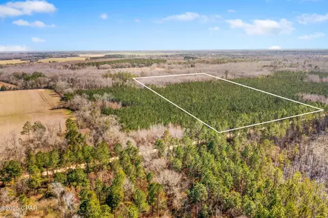 lot2 New Prospect Rd, Chipley, FL 32428 photo 5