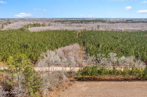 lot2 New Prospect Rd, Chipley, FL 32428 photo 15