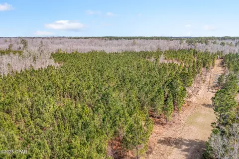 lot2 New Prospect Rd, Chipley, FL 32428 photo 18