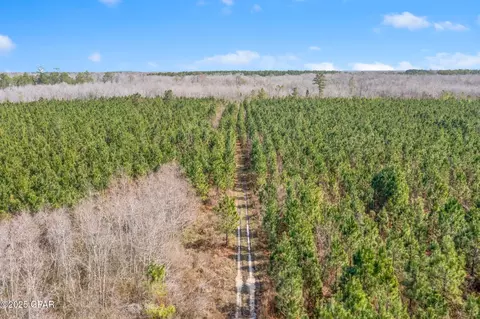 lot2 New Prospect Rd, Chipley, FL 32428 photo 16