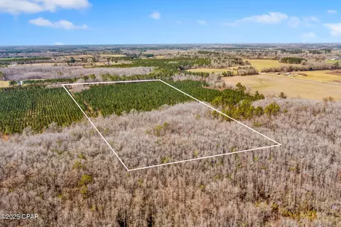 lot2 New Prospect Rd, Chipley, FL 32428 photo 7