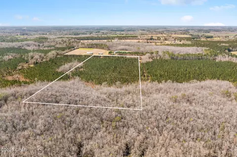 lot2 New Prospect Rd, Chipley, FL 32428 photo 2