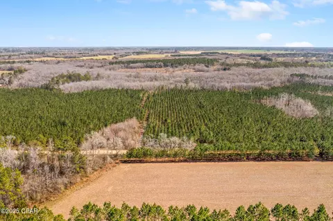 lot2 New Prospect Rd, Chipley, FL 32428 photo 10