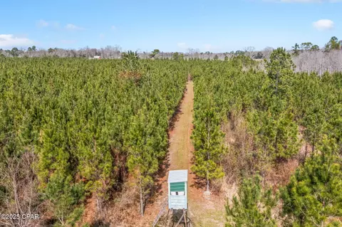 lot2 New Prospect Rd, Chipley, FL 32428 photo 12