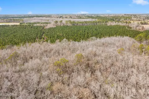 lot2 New Prospect Rd, Chipley, FL 32428 photo 26