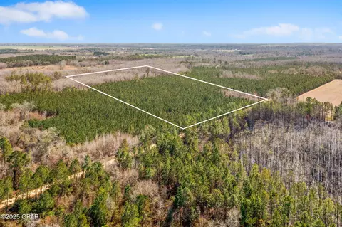 lot2 New Prospect Rd, Chipley, FL 32428