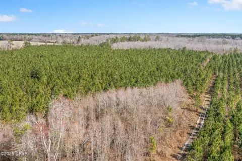 lot2 New Prospect Rd, Chipley, FL 32428 photo 19