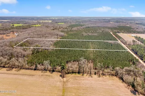 lot2 New Prospect Rd, Chipley, FL 32428 photo 4