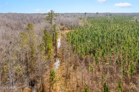lot2 New Prospect Rd, Chipley, FL 32428 photo 11