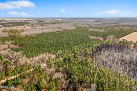 lot2 New Prospect Rd, Chipley, FL 32428 photo 23