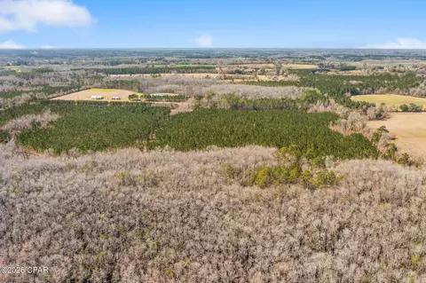 lot2 New Prospect Rd, Chipley, FL 32428 photo 24