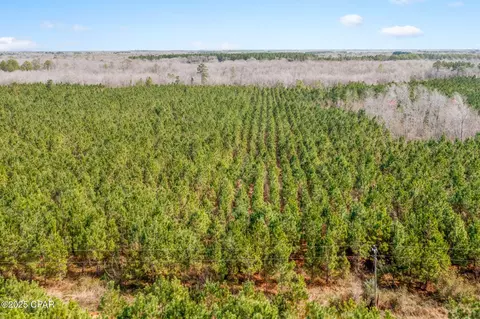 lot2 New Prospect Rd, Chipley, FL 32428 photo 17