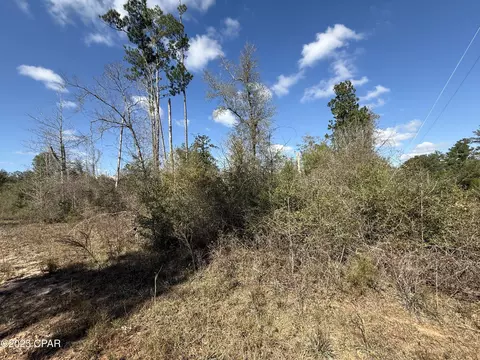 00 Tanager Ct, Marianna, FL 32448