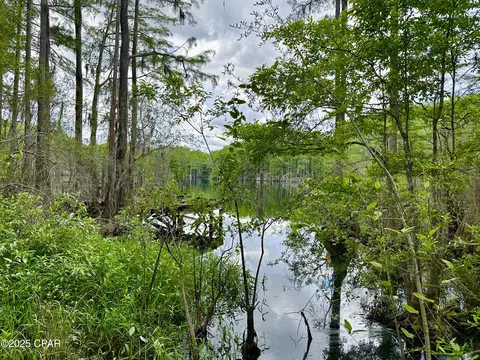 4661 Moss Hill Rd, Chipley, FL 32428