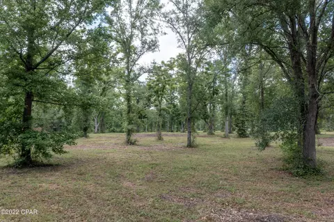 000 Plum Ave, Chipley, FL 32428 photo 8