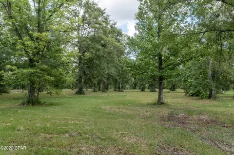 000 Plum Ave, Chipley, FL 32428 photo 11