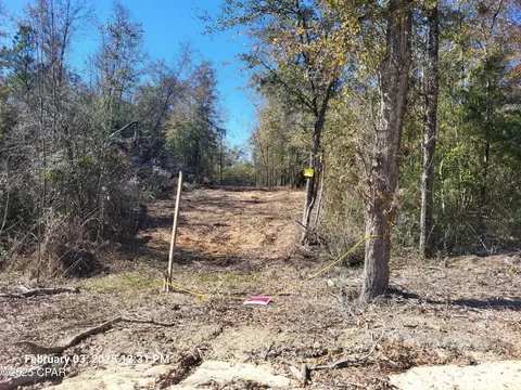 lot8 NW Womble Rd, Altha, FL 32421