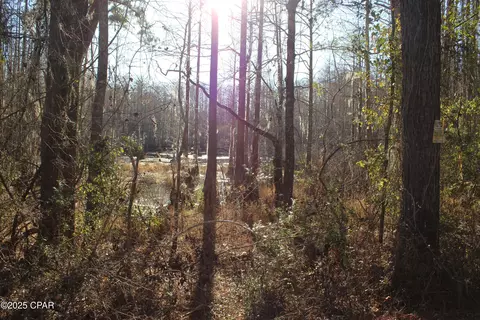 tbd Reca Dr, Vernon, FL 32462 photo 4