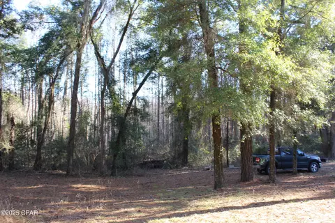 tbd Reca Dr, Vernon, FL 32462 photo 7