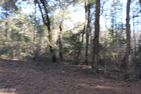 tbd Reca Dr, Vernon, FL 32462 photo 8