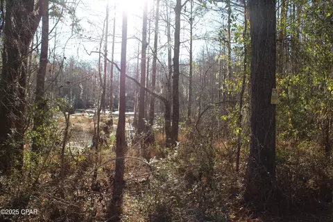 tbd Reca Dr, Vernon, FL 32462 photo 3