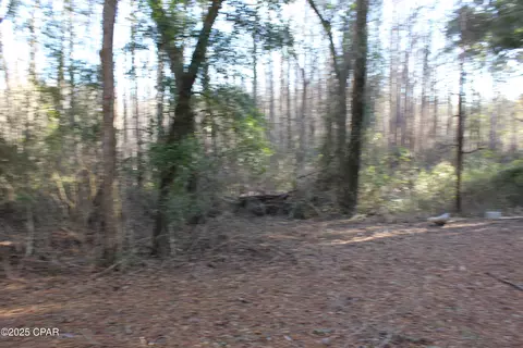 tbd Reca Dr, Vernon, FL 32462 photo 9