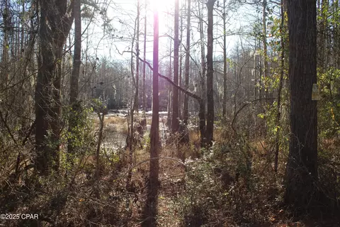 tbd Reca Dr, Vernon, FL 32462 photo 2