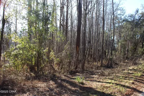 tbd Reca Dr, Vernon, FL 32462 photo 5