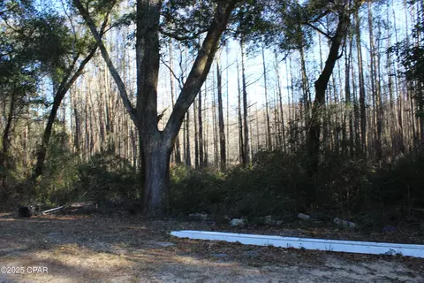 tbd Reca Dr, Vernon, FL 32462 photo 11