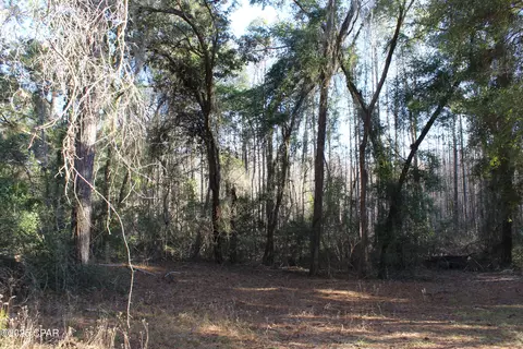 tbd Reca Dr, Vernon, FL 32462 photo 6