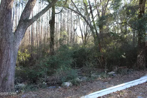 tbd Reca Dr, Vernon, FL 32462 photo 10