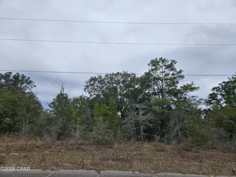 tbd Randolph Dr, Chipley, FL 32428 photo 4