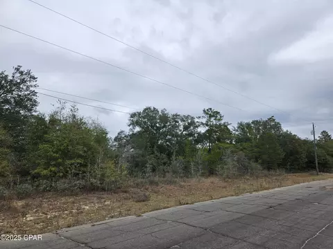 tbd Randolph Dr, Chipley, FL 32428 photo 3