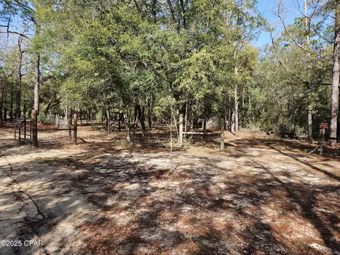 000 Antler Trl, Chipley, FL 32428 photo 2