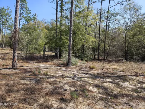 000 Antler Trl, Chipley, FL 32428 photo 19