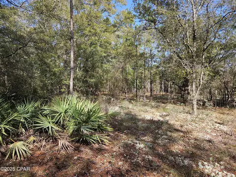 000 Antler Trl, Chipley, FL 32428 photo 11